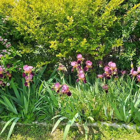 Casa vacanze Maison Avec Jardin Et Parking Pres Du Centre